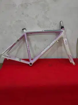 Frame and Fork Road Bike