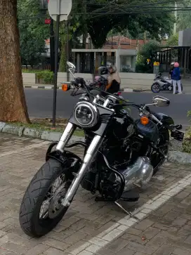 Harley Davidson softail slim 2015