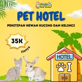 Terima penitipan/Pet hotel kucing, kelinci are sukolegok, bohar