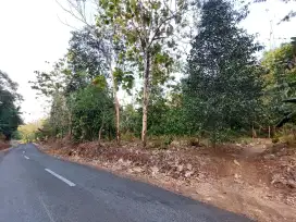 Tanah pinggir jalan muka lebar