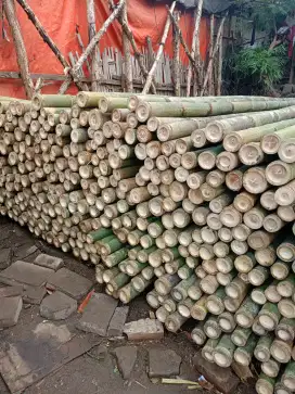Jual bambu,kaso proyek