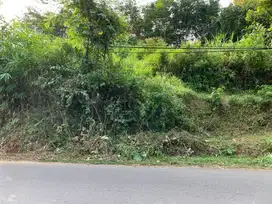 Tanah Pekarangan/Kering Hadap Jalan Kabupaten Dekat Pabrik