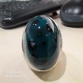 Bacan dalmation totol coklat super mumbul