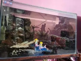 aquascape air terjun 50×25×30 + Rak