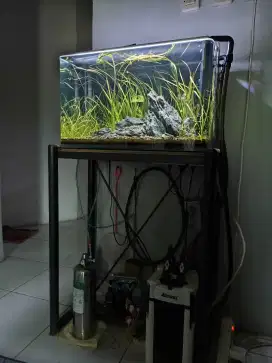 Aquascape set Aquarium lengkung