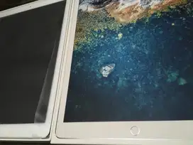 WTS/ FS A1670 Apple iPad Pro 2nd Gen. 256GB, Wi-Fi, 12.9 in - Silver