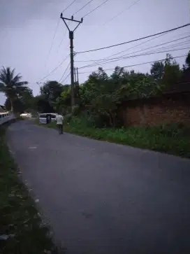 Lahan ternak sapi leuwisadang bogor