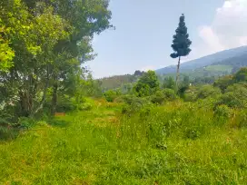 Tanah rata murah untuk villa+rumah view lepas ke gunung