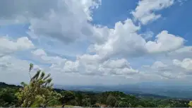 Tanah murah rata untuk investasi berkebun+villa view lepas