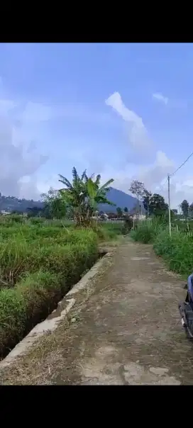 Jual sawah dekat air terjun jumog luas 1800mtr harga 600jt nego