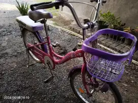 Sepeda phoneix ukuran 20