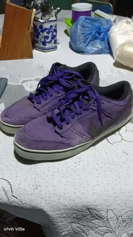 Nike dunk 6.0 purple