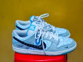 Sepatu Nike SB Dunk Low X Dior sz 44