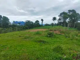 Tanah untuk cafe+resort wisata sangat strategis view lepas ke gunung