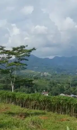 Tanah full view sangat strategis untuk villa+rumah