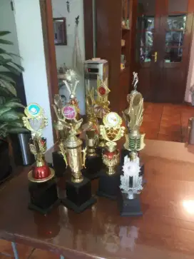 Piala kecil bekas