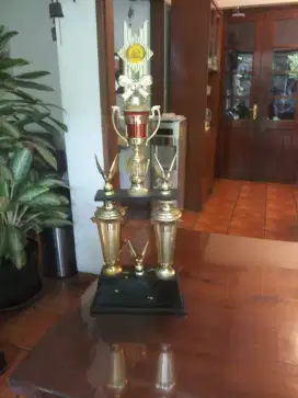 Piala-piala besar