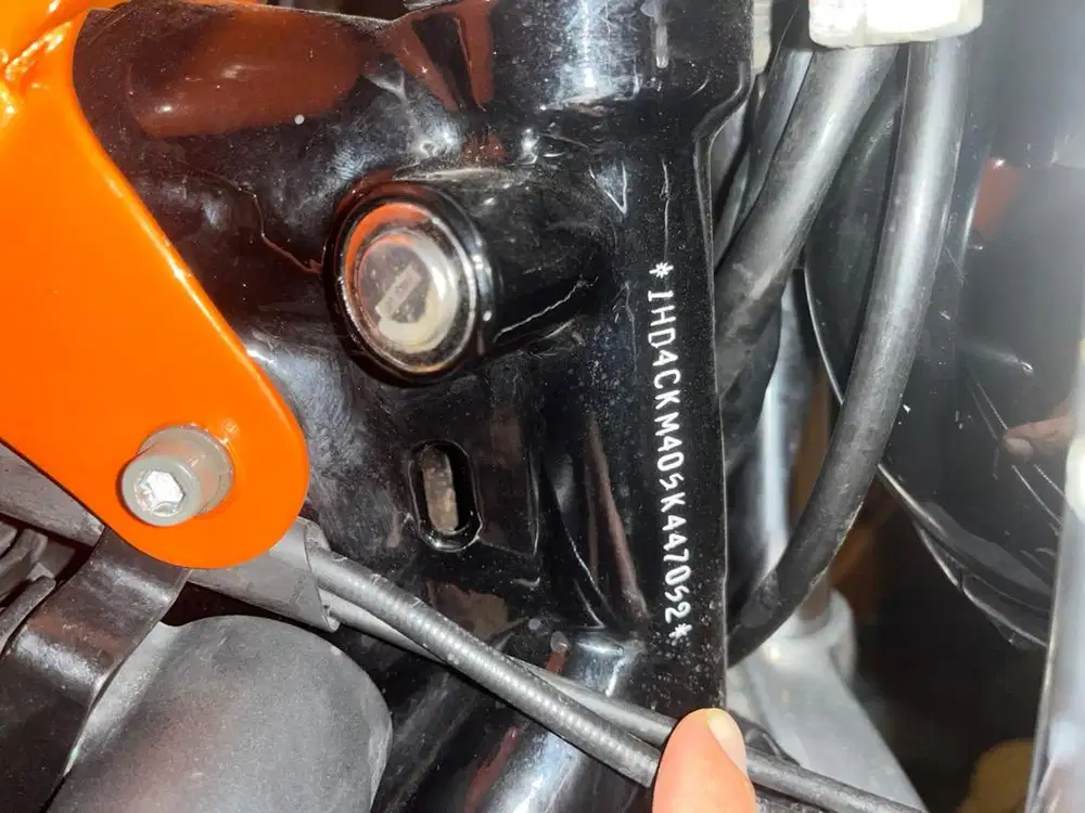 Sportster Roadster Harley Davidson CARBU