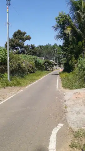 Tanah Kavling Tlogowaru cocok untuk rumah singgah