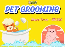 Pet grooming Kucing & Kelinci,  Graha Juanda damarsi