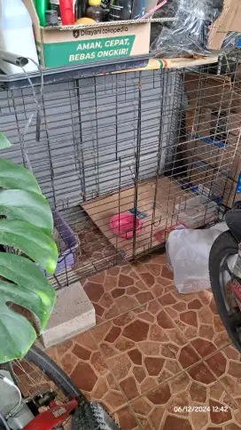 Kandang besi besar (untuk kucing, ayam, kelinci dll)