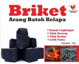 Briket arang batok kelapa