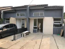 Ada halaman belakang