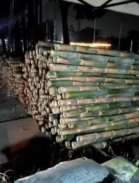 Bambu Cor,Steger,Tiang