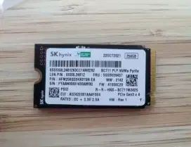 SSD M2 Nvme SKhynix BC711 256GB 2242
