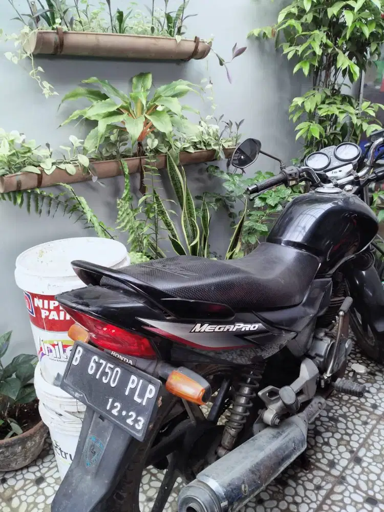 Honda Megapro Primuss