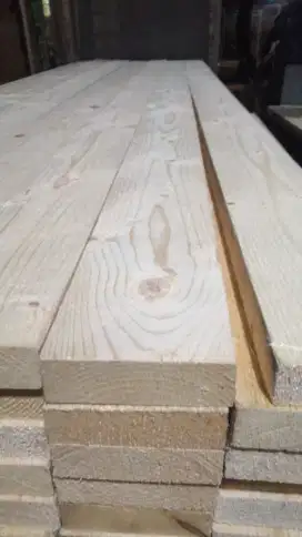 Papan Jati Belanda Baru 1x10x240cm