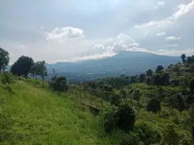 Tanah murah sangat strategis view lepas ke gunung top