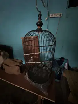 Kandang burung kenari atau lovebird