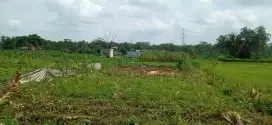 Di Jual tanah 1260 m di Kel. Sumelap. Kec. Tamansari. Kota Tasikmalaya