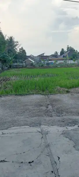 Rumah tinggal asri view pesawahan cianjur kota jual murah