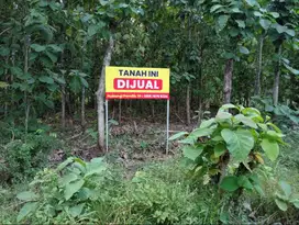 DIJUAL TANAH DI KOTA WONOSARI GUNUNG KIDUL