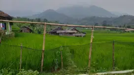 Tanah sawah murah sangat strategis view lepas ke gunung