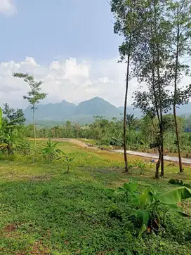 Jual Tanah Murah dekat Wisata Alam