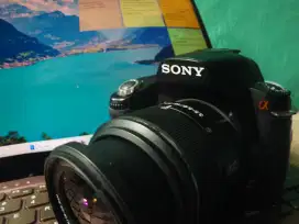 Sony alpha a290 14 mp