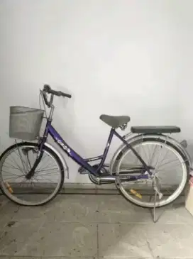 Sepeda keranjang pancal wim cycle
