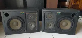 Speaker Monitor Studio PEAVEY PRM 308S