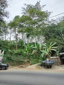 Tanah Kebun Di Sukabumi, Dijual