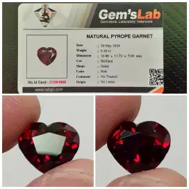 Red Garnet 6.36cts Heart Shape Bling²