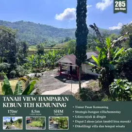 Tanah kemuning Karanganyar solo. Prospek vila/homestay