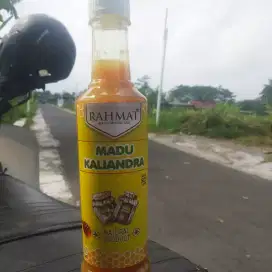 Madu Asli Murni Kaliandra