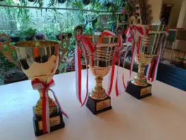 Piala Bahan Metal coating Gold - 1 set / 3 pcs