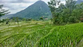 Tanah full view sangat strategis untuk villa+rumah