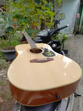 Gitar Akustik Premium Jumbo Cort Ad 810 Natural