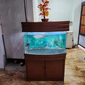 Aquarium cembung akuarium ikan