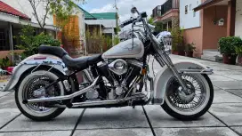 Harley Davidson Softail Nostalgia